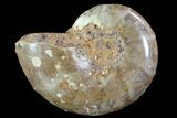 Sliced, Agatized Ammonite Fossil (Half) - Jurassic #54061-1